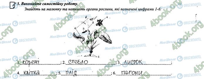 ГДЗ Биология 6 класс страница 24.5